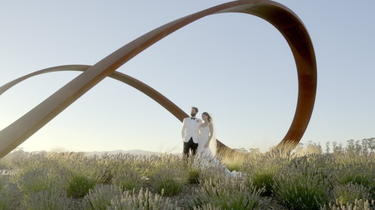 Nice Shot Films1 1 768x432