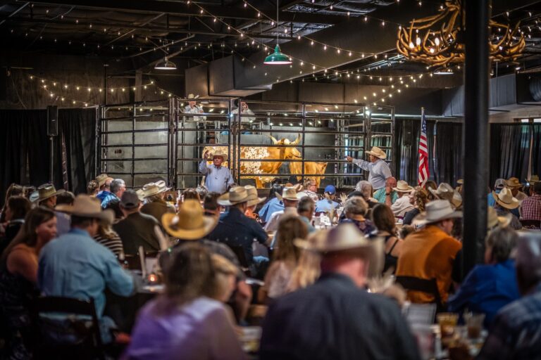 River Ranch Stockyards1 1 768x512