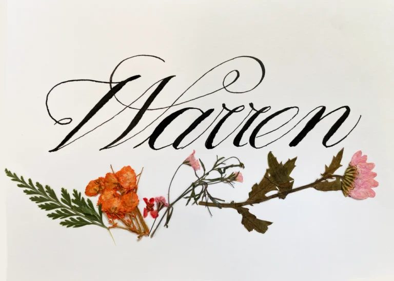 Warren 768x548