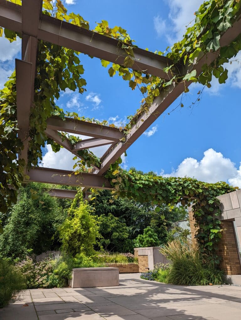Copy of SummerGarden 768x1020
