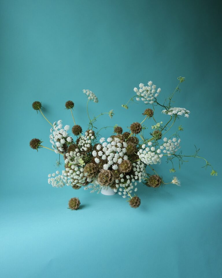 IMG 6543 768x960